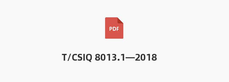 T/CSIQ 8013.1—2018